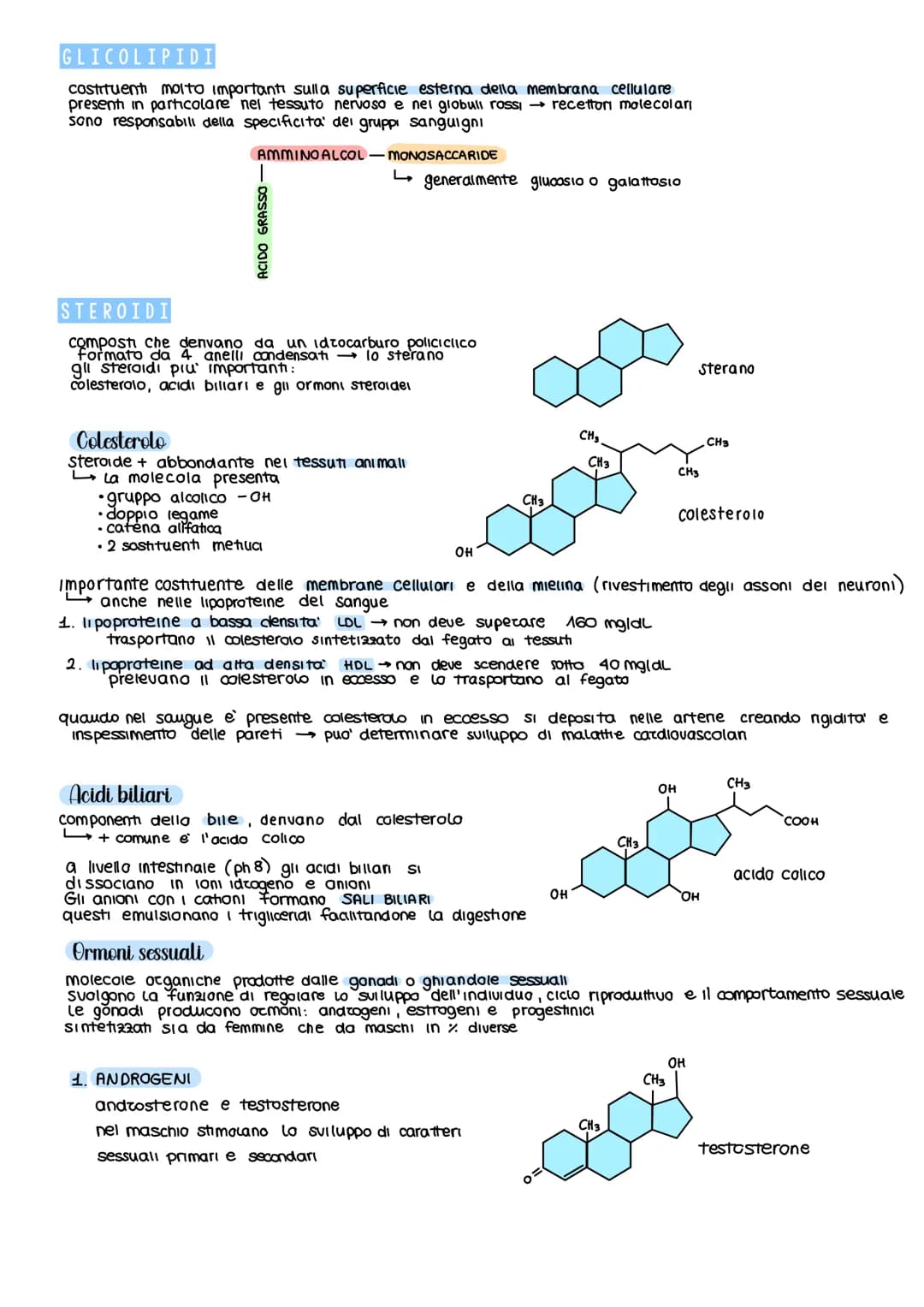 BIOMOLECOLE
le biomolecole formano le cellule e sono le protagoniste del metabolismo cellulare
SI Suddividono in 4 classi fondamentall
CARBO