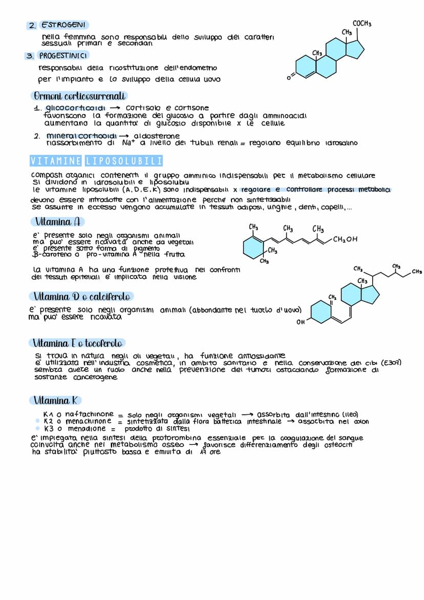BIOMOLECOLE
le biomolecole formano le cellule e sono le protagoniste del metabolismo cellulare
SI Suddividono in 4 classi fondamentall
CARBO