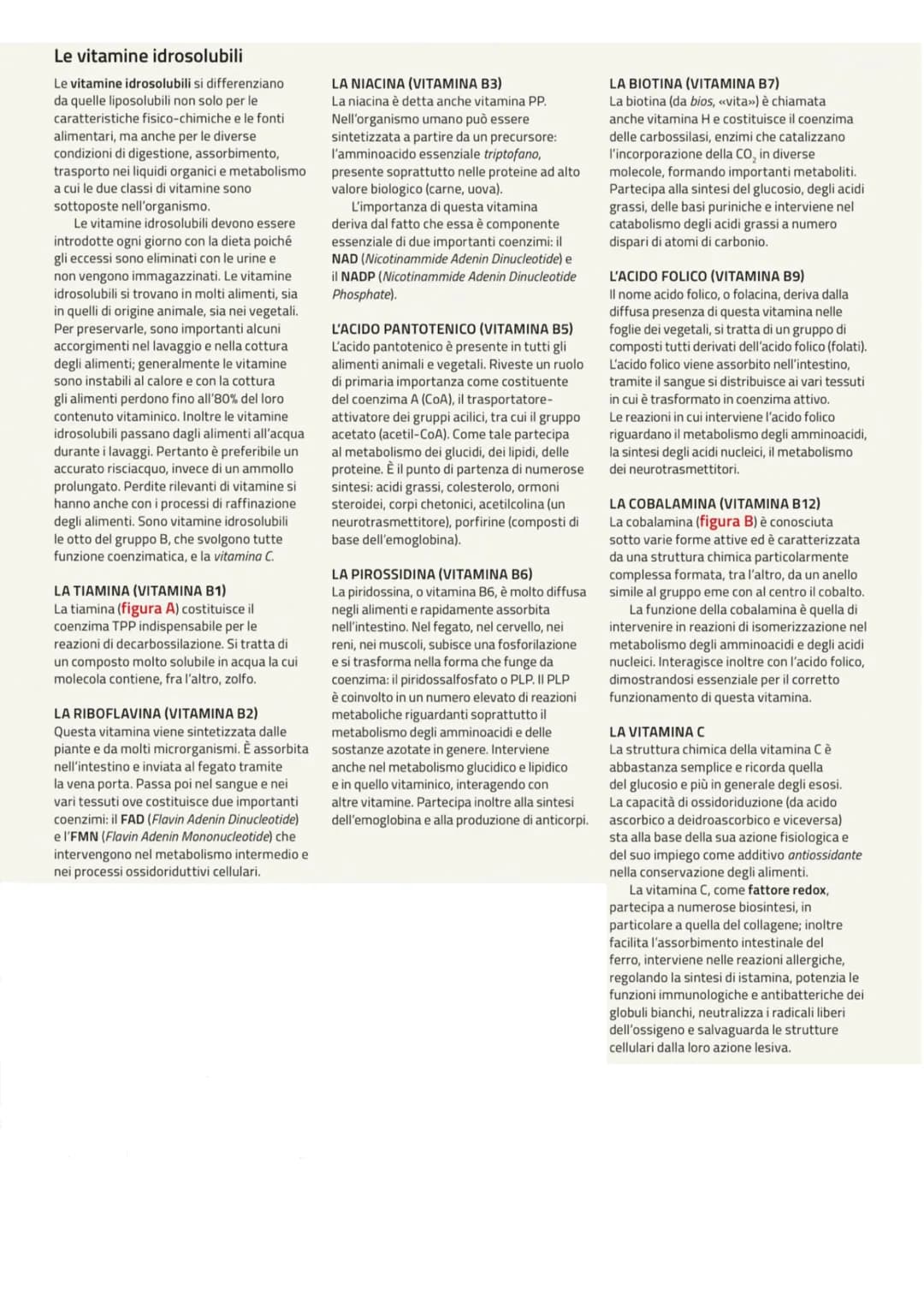 BIOMOLECOLE
le biomolecole formano le cellule e sono le protagoniste del metabolismo cellulare
SI Suddividono in 4 classi fondamentall
CARBO