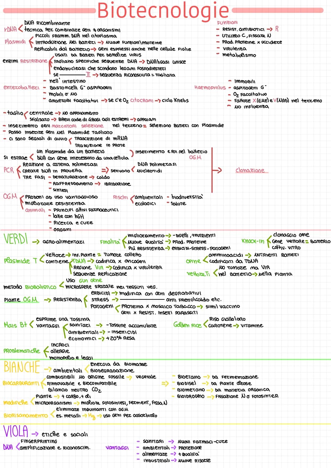 DUA RICombinante
DUA tecnica per combinate Geni #ORGONnIsml
PICCOLI FRamm. DNA nel atoplasma
Plasmidi
Introduzione Nei Baneri -> Nuove Funzi