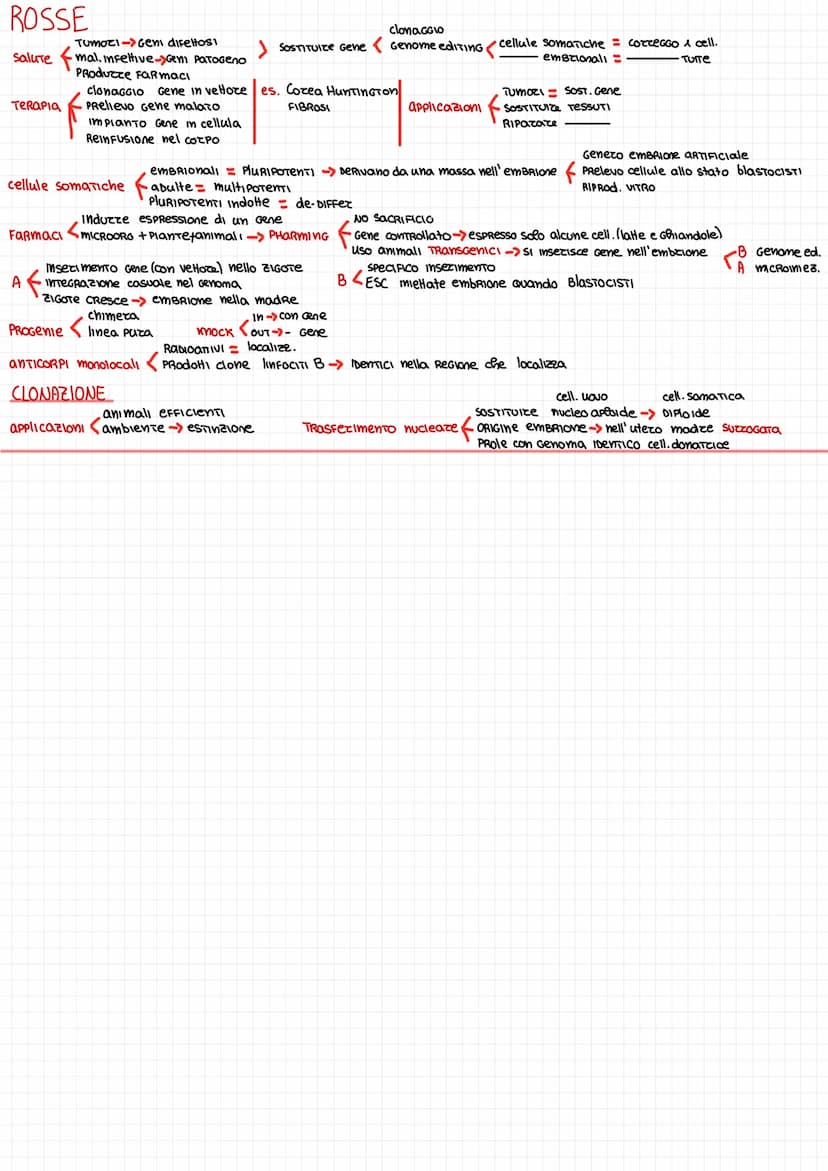 DUA RICombinante
DUA tecnica per combinate Geni #ORGONnIsml
PICCOLI FRamm. DNA nel atoplasma
Plasmidi
Introduzione Nei Baneri -> Nuove Funzi