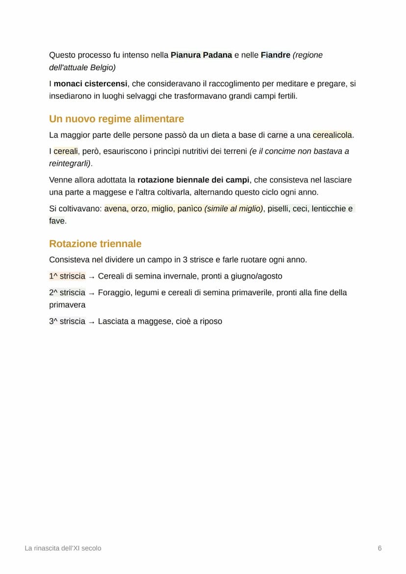 1
La rinascita dell'XI secolo
La crisi dell'Impero carolingio e l'inizio dell'età
signorile
Dopo la morte di Carlo Magno, l'impero iniziò ad