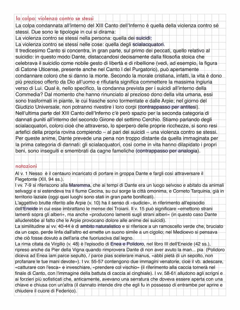 13 CANTO
riassunto
I due poeti si addentrano nel secondo girone del settimo cerchio, in un bosco di piante
secche, contorte e spinose, abita