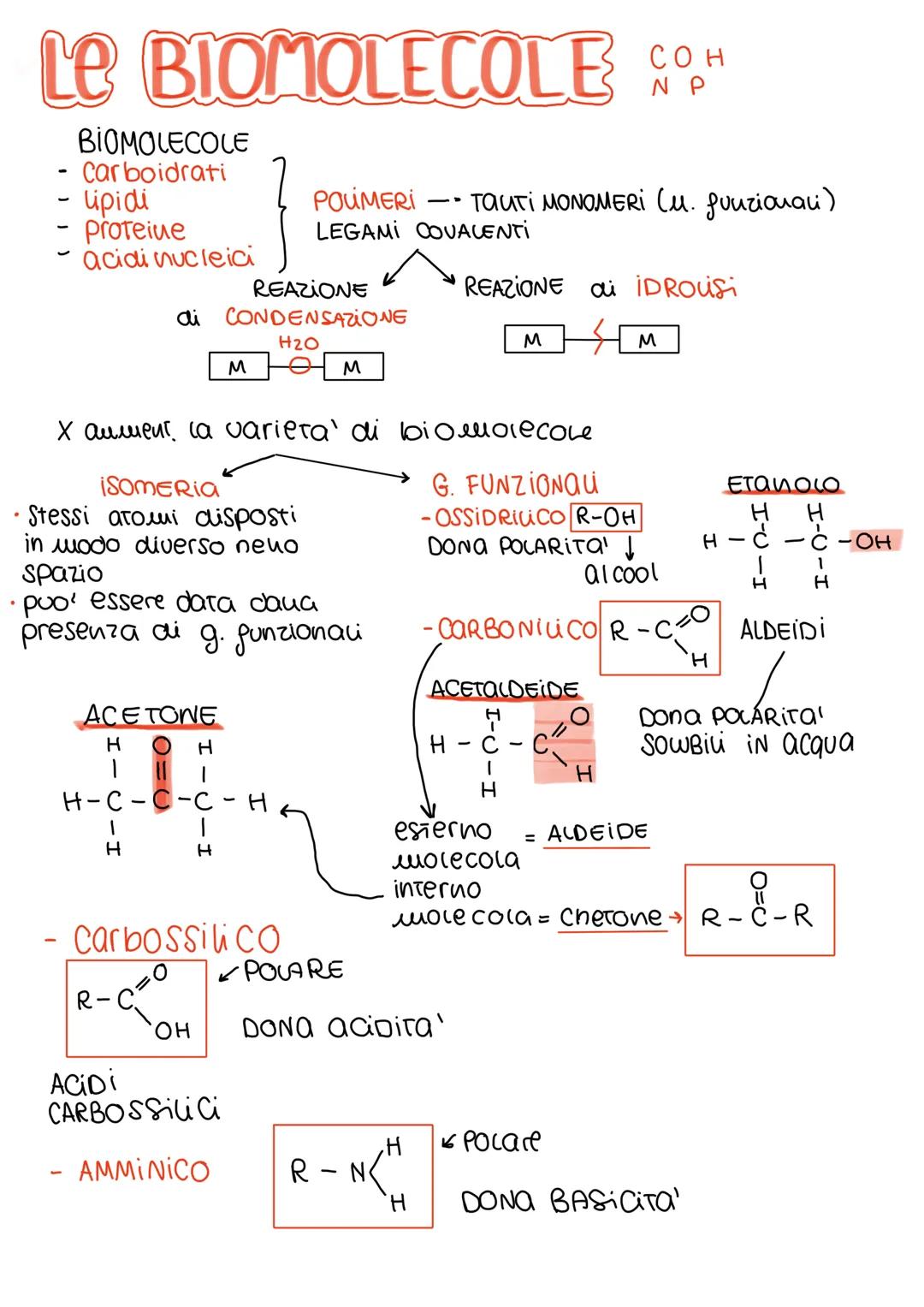 Le BIOMOLECOLE COH
СОН
NP
•
BIOMOLECOLE
- Carboidrati
- upidi
- proteine
acidi nucleici
REAZIONE
ai CONDENSAZIONE
H₂O
ACETONE
H
O H
1
H-C-C-