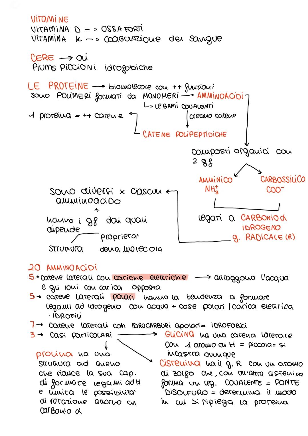 Le BIOMOLECOLE COH
СОН
NP
•
BIOMOLECOLE
- Carboidrati
- upidi
- proteine
acidi nucleici
REAZIONE
ai CONDENSAZIONE
H₂O
ACETONE
H
O H
1
H-C-C-