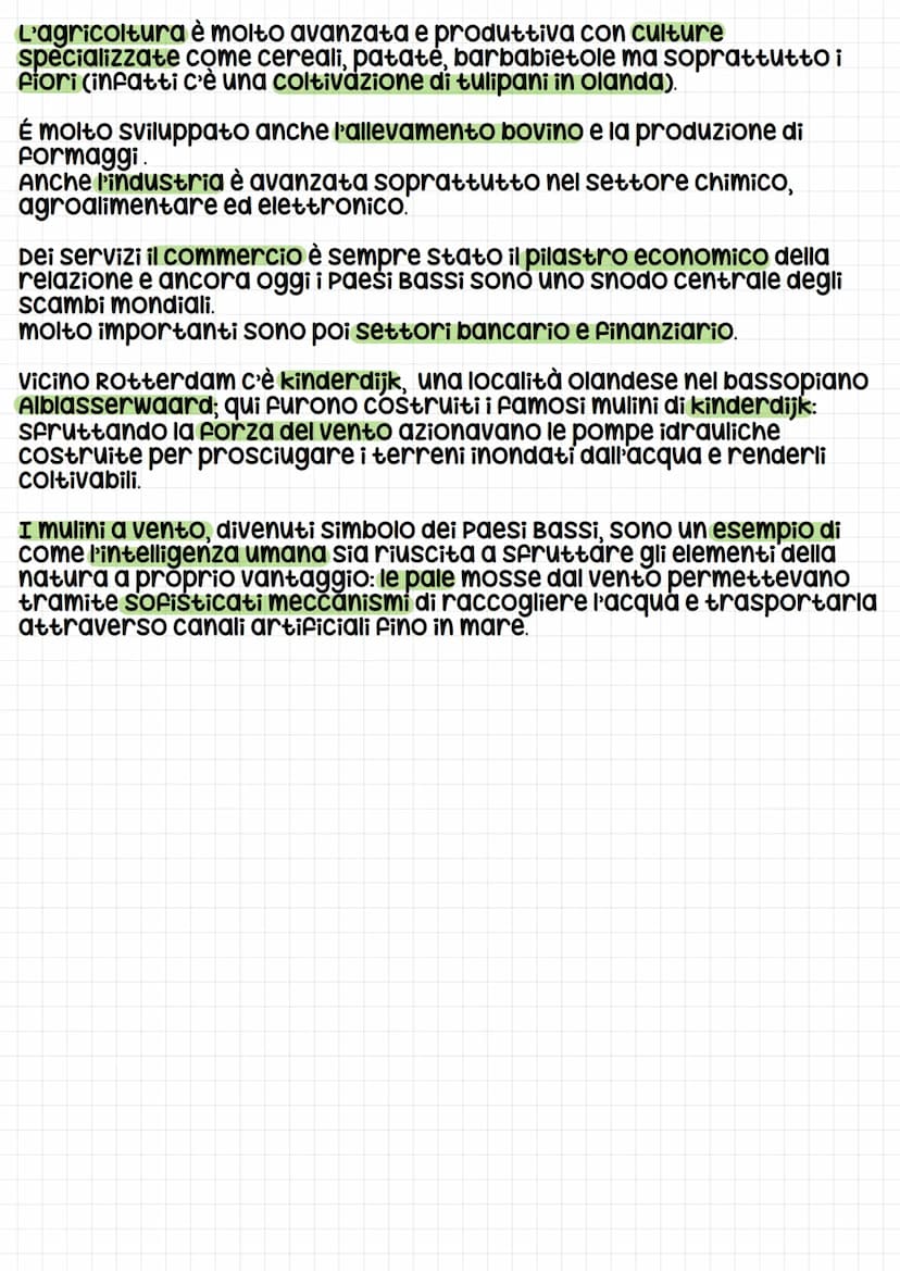 I paesi Bassi
I Paesi bassi si estendono su un territorio completamente
pianeggiante, con molte terre a ridosso delle coste e alcune sotto i