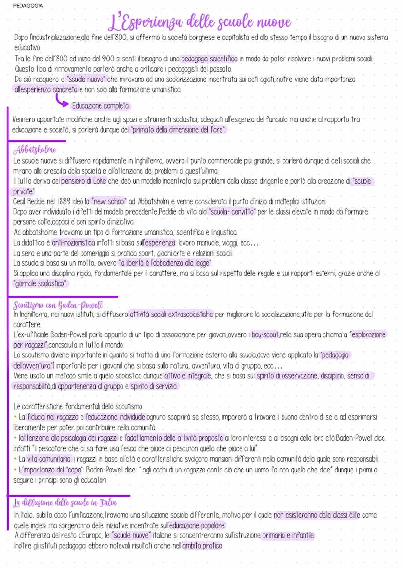 PEDAGOGIA
ID/SU PEDAGOGIA
L'Esperienza delle scuole nuove
Dopo l'industrializzazione, alla fine dell'800, si affermò la società borghese e c