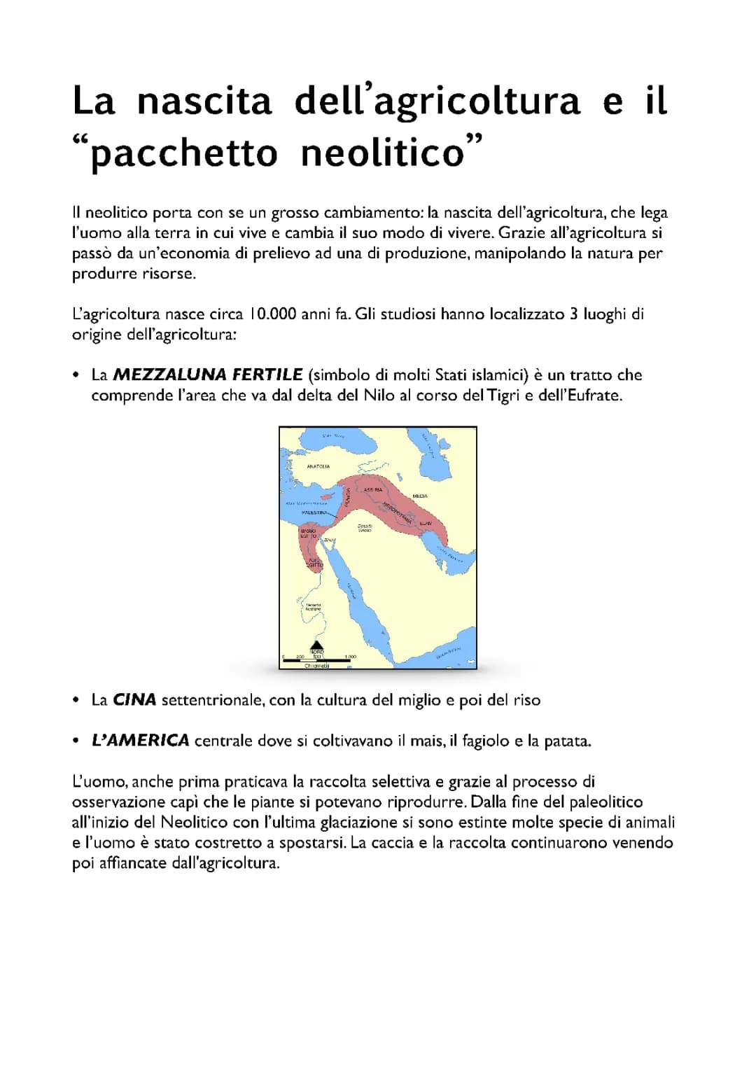 L'Agricoltura nel Neolitico Scuola Primaria: Rivoluzione Neolitica e Allevamento