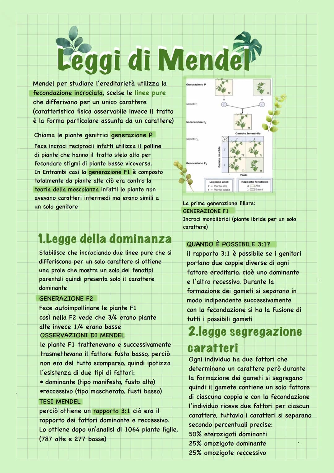 Leggi di Mendel
Mendel per studiare l'ereditarietà utilizza la
fecondazione incrociata, scelse le linee pure
che differivano per un unico ca