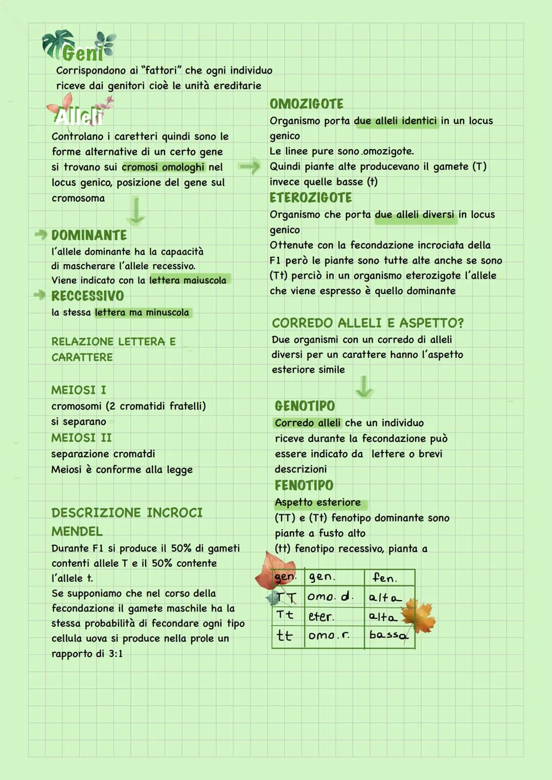 Leggi di Mendel
Mendel per studiare l'ereditarietà utilizza la
fecondazione incrociata, scelse le linee pure
che differivano per un unico ca