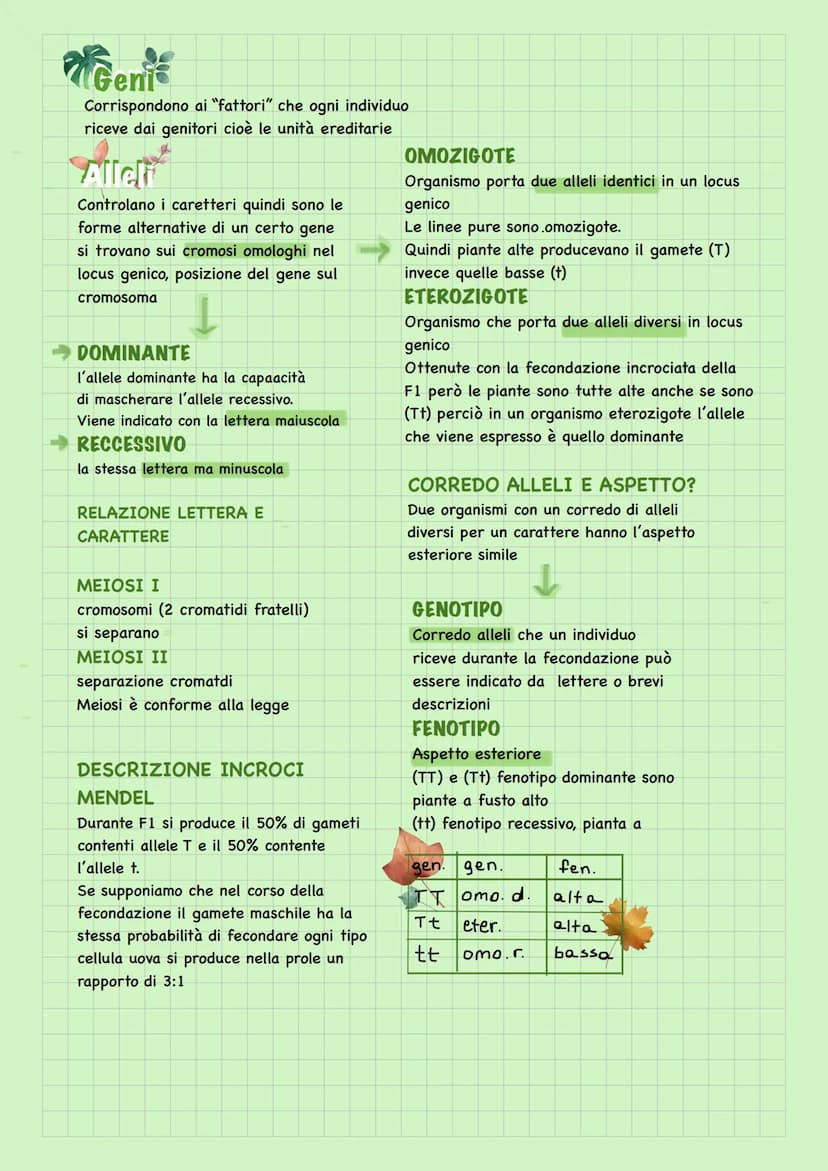 Leggi di Mendel
Mendel per studiare l'ereditarietà utilizza la
fecondazione incrociata, scelse le linee pure
che differivano per un unico ca