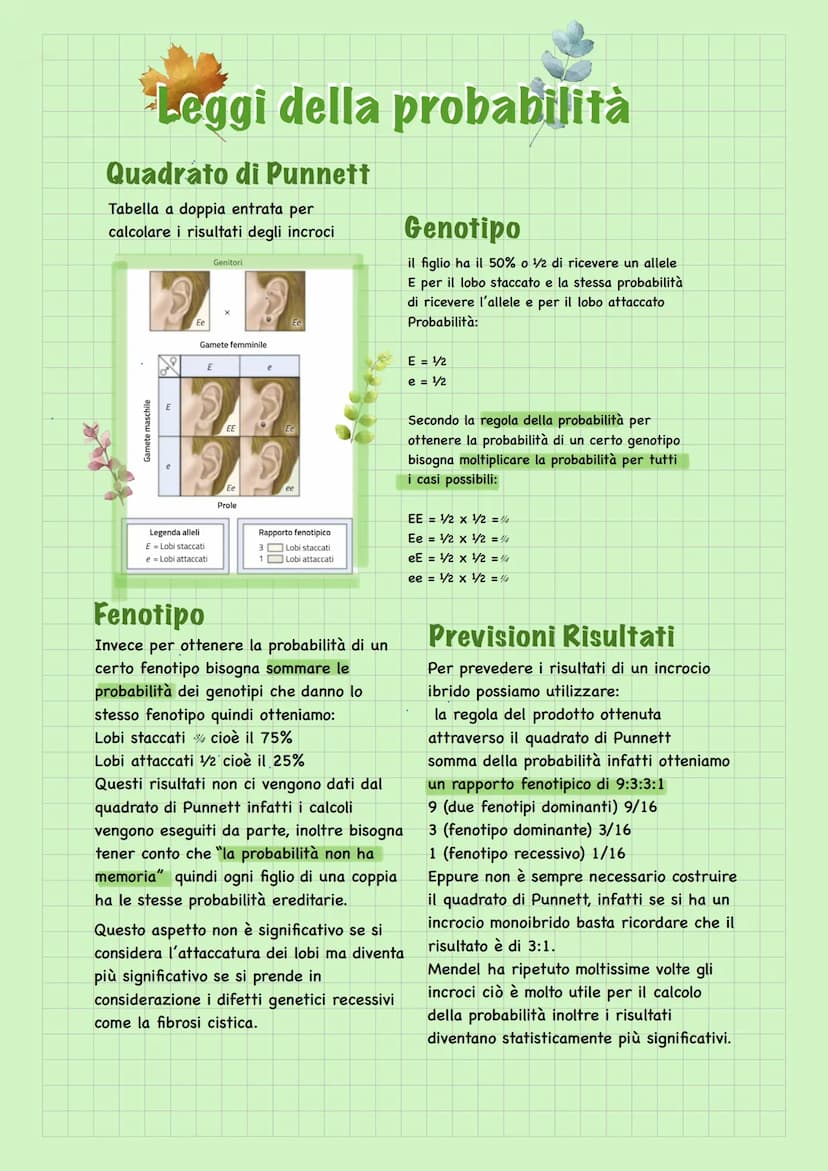 Leggi di Mendel
Mendel per studiare l'ereditarietà utilizza la
fecondazione incrociata, scelse le linee pure
che differivano per un unico ca