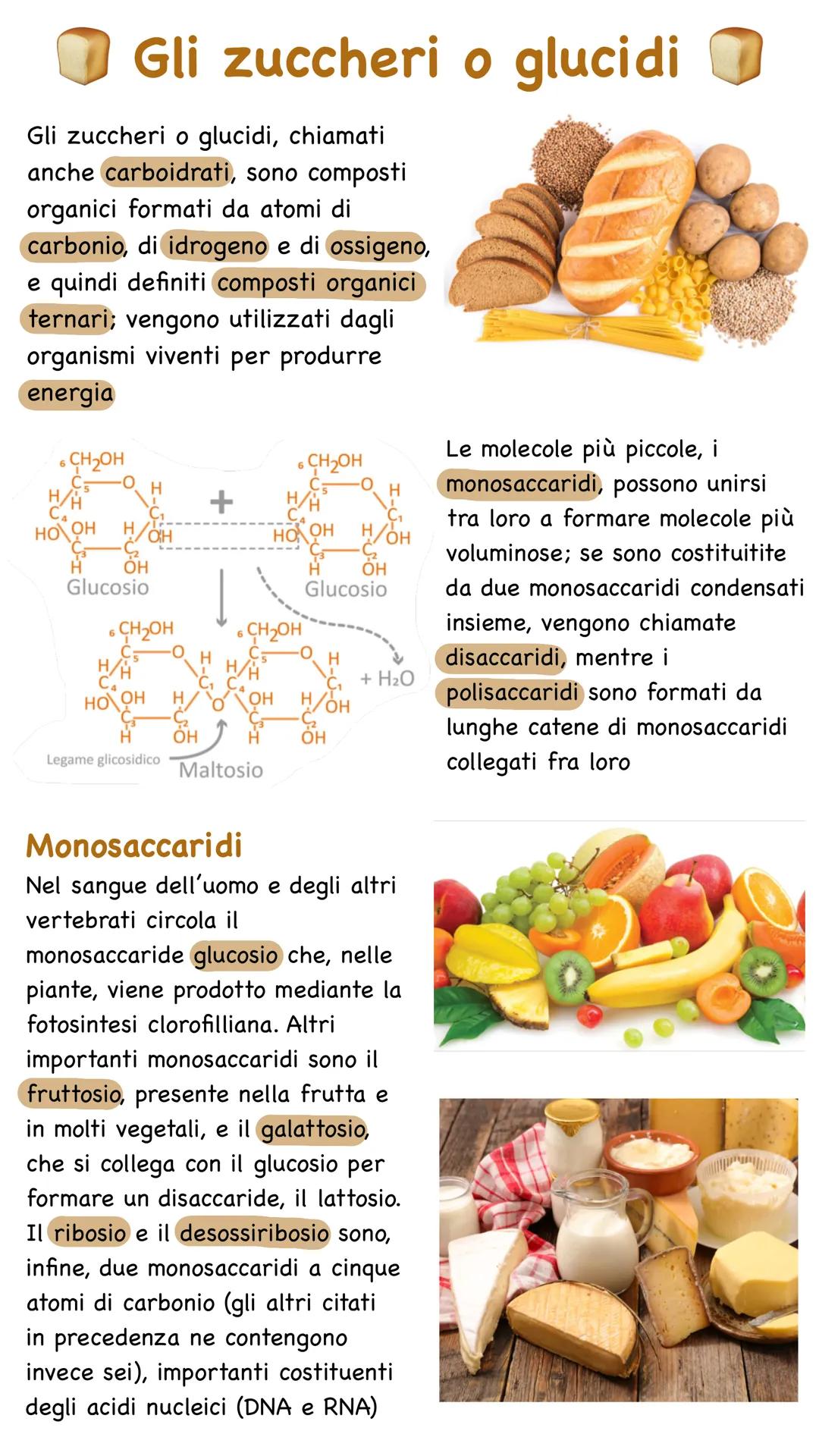 Gli zuccheri o glucidi
Gli zuccheri o glucidi, chiamati
anche carboidrati, sono composti
organici formati da atomi di
carbonio, di idrogeno 