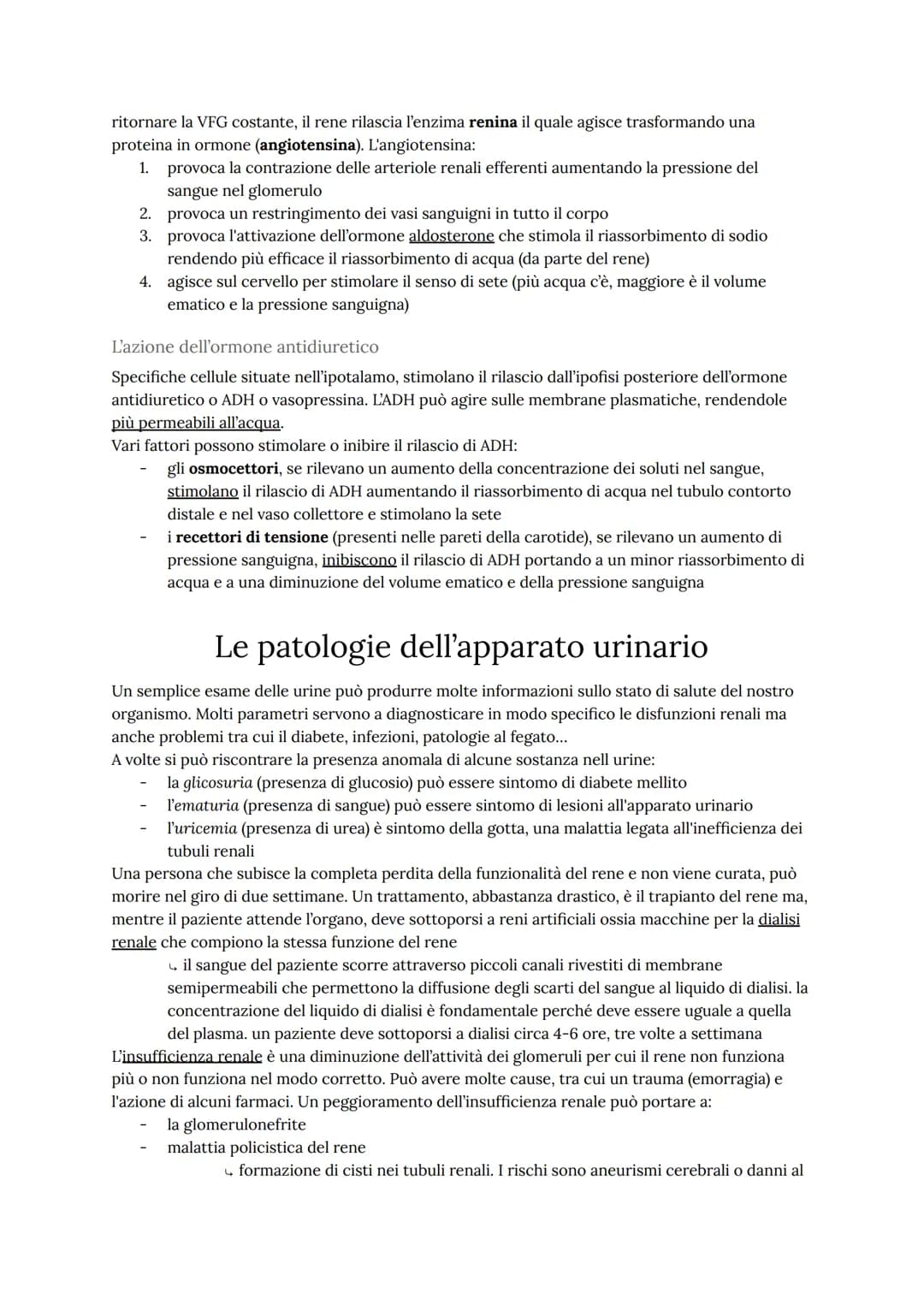 Come funziona l'apparato urinario
L'apparato urinario umano ha il compito di depurare continuamente il sangue dagli scarti
metabolici dell'a