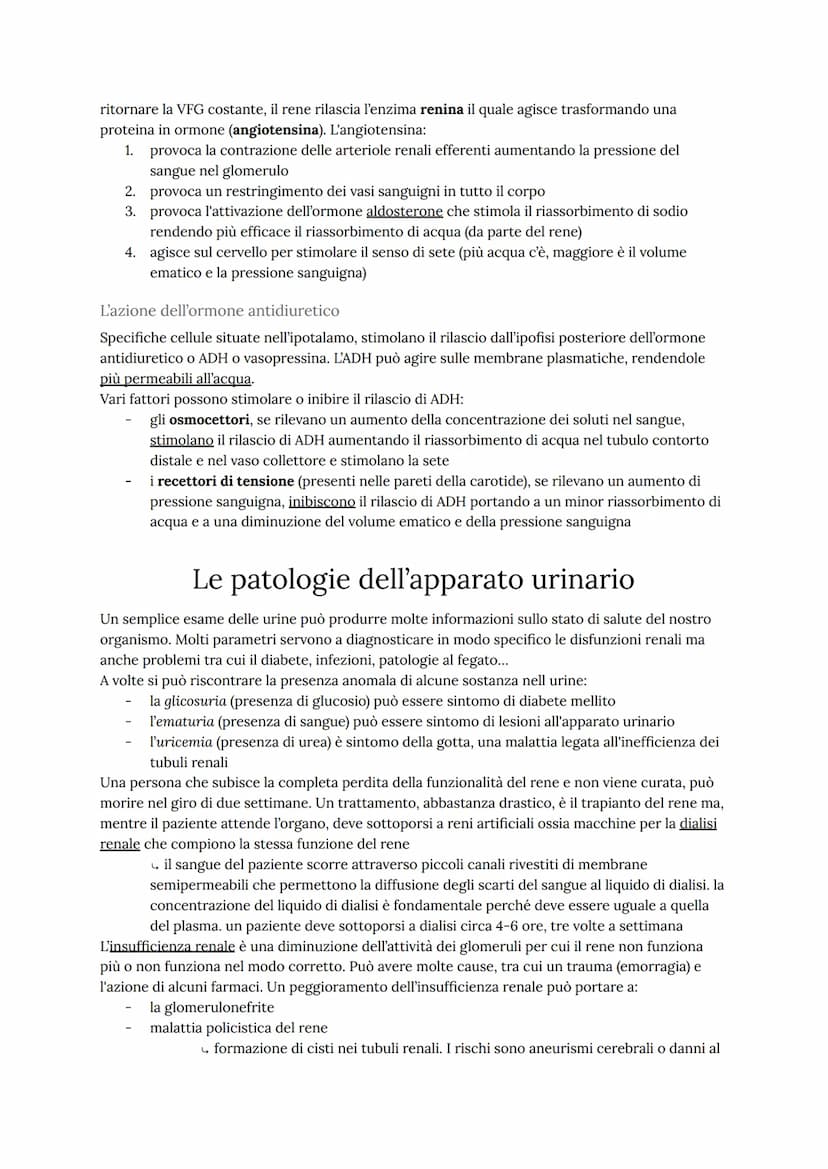 Come funziona l'apparato urinario
L'apparato urinario umano ha il compito di depurare continuamente il sangue dagli scarti
metabolici dell'a