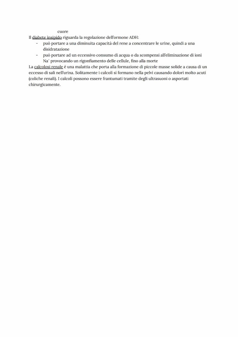 Come funziona l'apparato urinario
L'apparato urinario umano ha il compito di depurare continuamente il sangue dagli scarti
metabolici dell'a