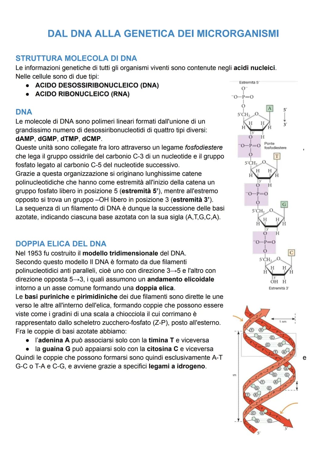 # DAL DNA ALLA GENETICA DEI MICRORGANISMI

STRUTTURA MOLECOLA DI DNA
Le informazioni genetiche di tutti gli organismi viventi sono contenute