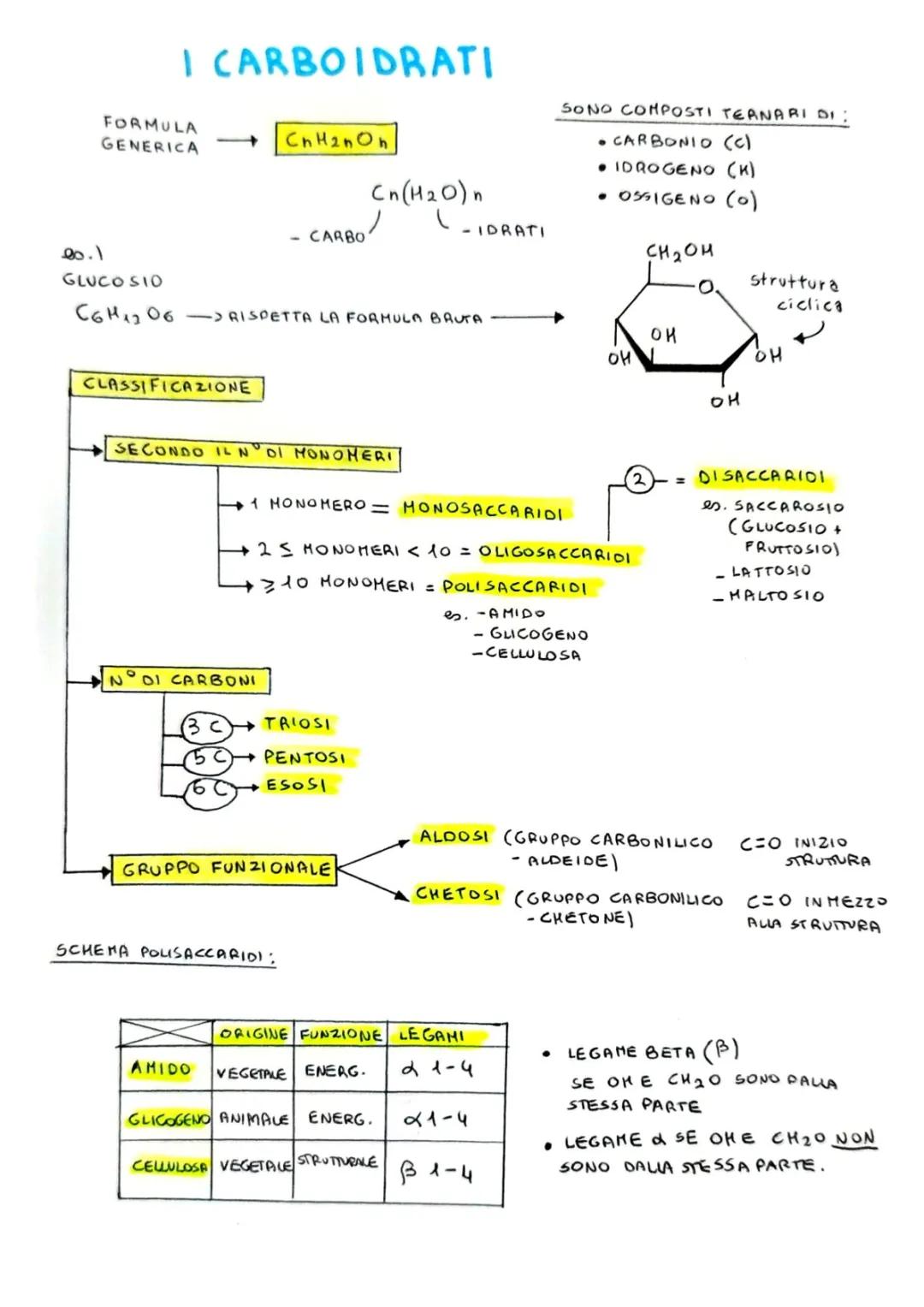 Carboidrati: Schema Riassuntivo e Funzioni - Zanichelli PDF e PPT