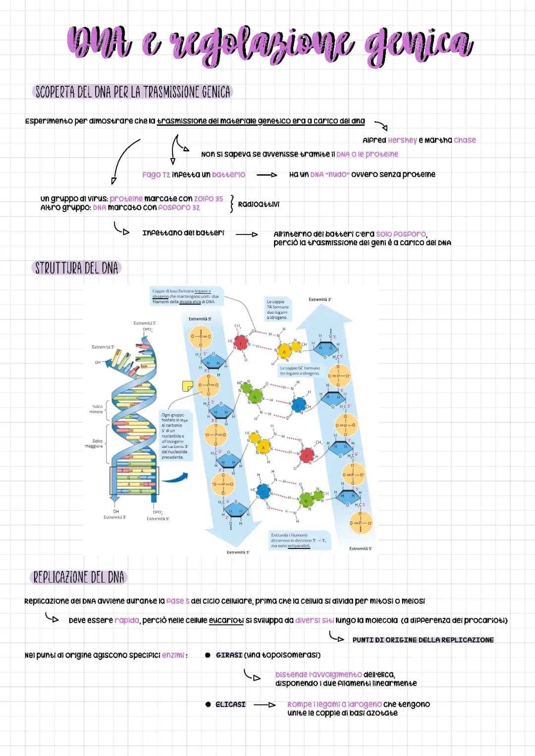 DNA e regolazione genica 