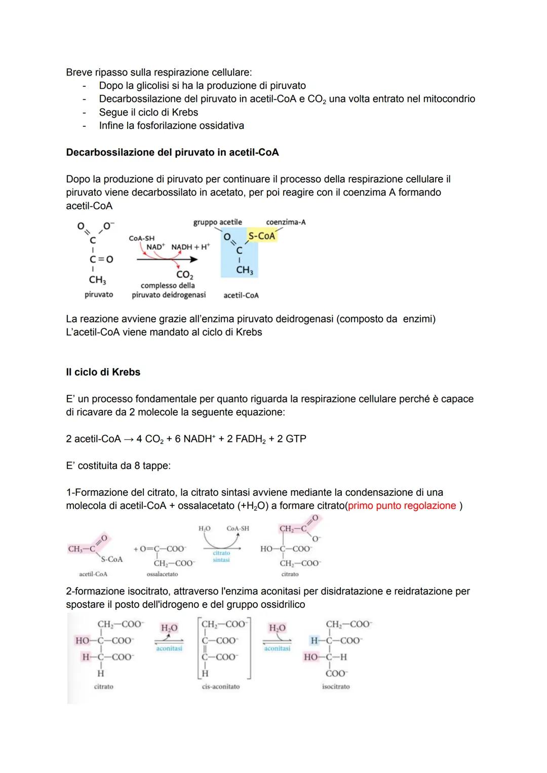 Biochimica capitolo 12-13
La glicolisi è un processo dove la molecola di glucosio viene scissa in 2 molecole di piruvato
producendo 2 ATP + 