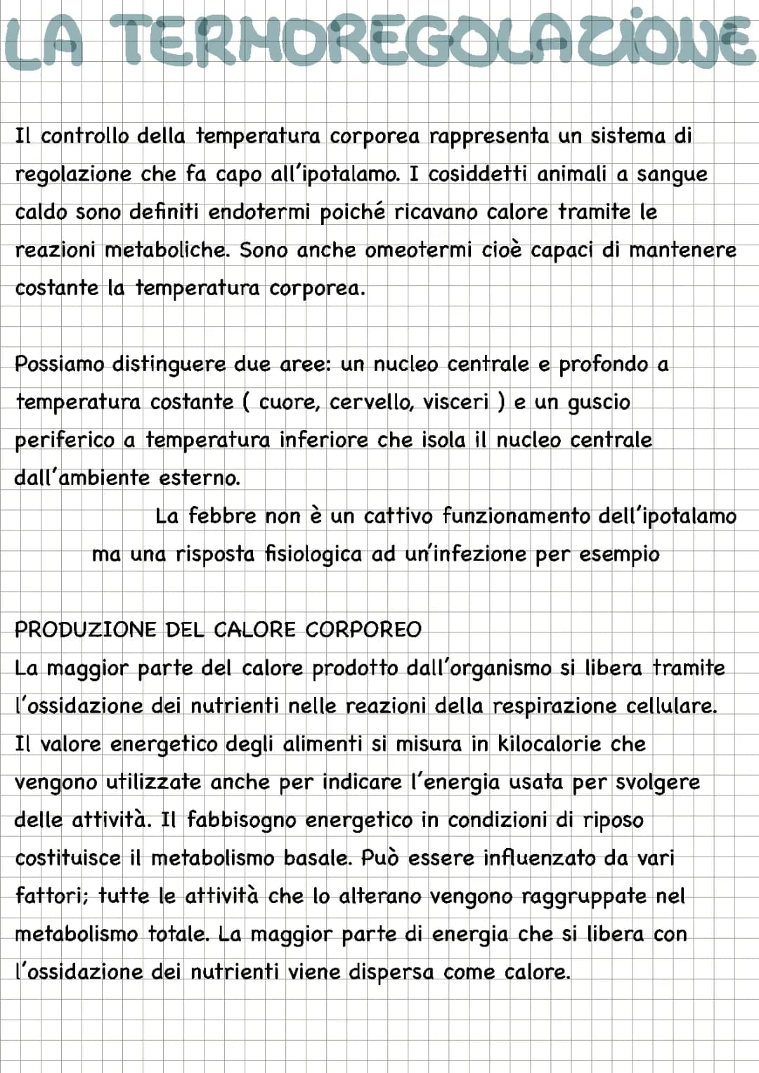 Apparato urinario e termoregolatore 