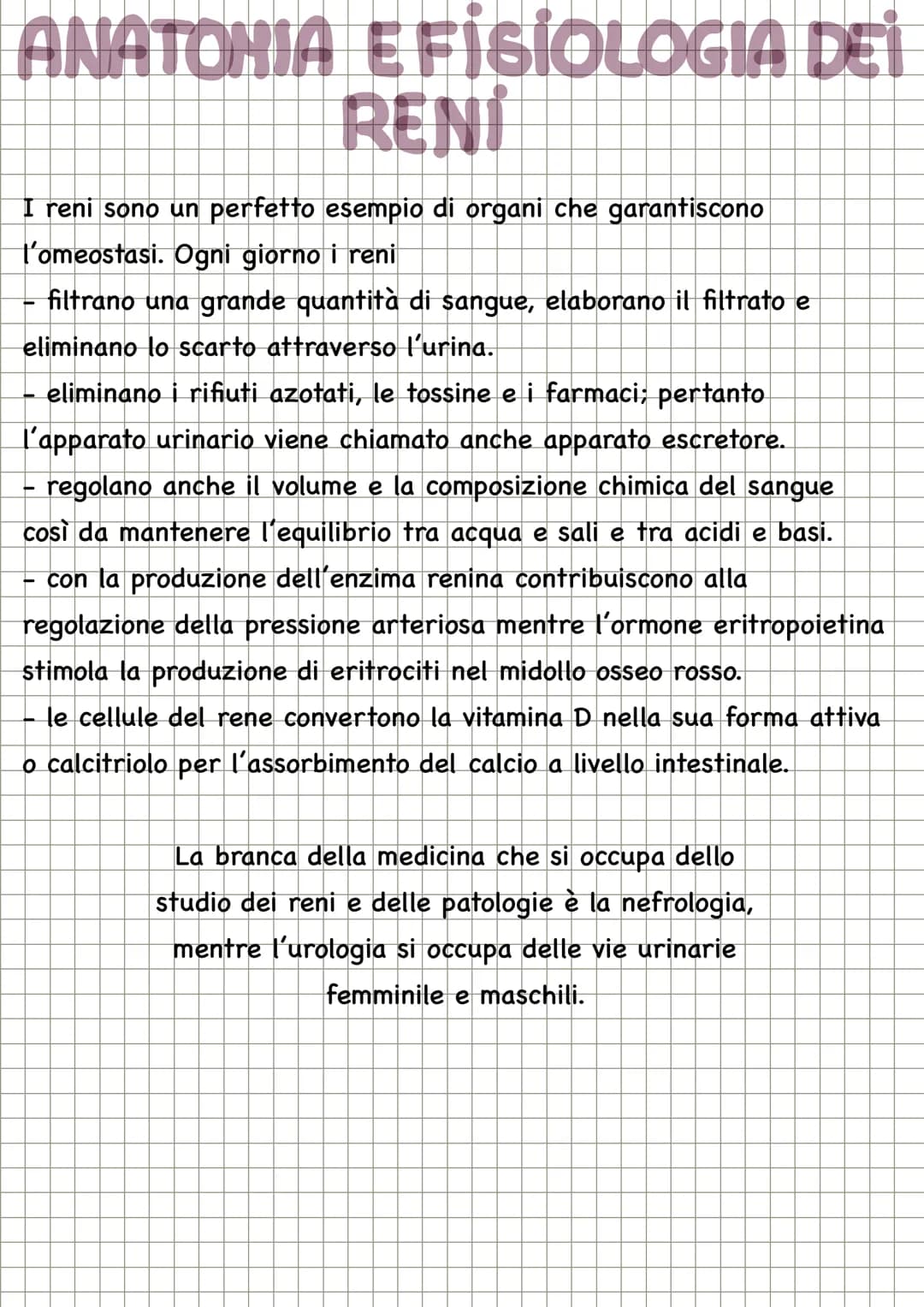 LA TERMOREGOLAZIONE
Il controllo della temperatura corporea rappresenta un sistema di
regolazione che fa capo all'ipotalamo. I cosiddetti an