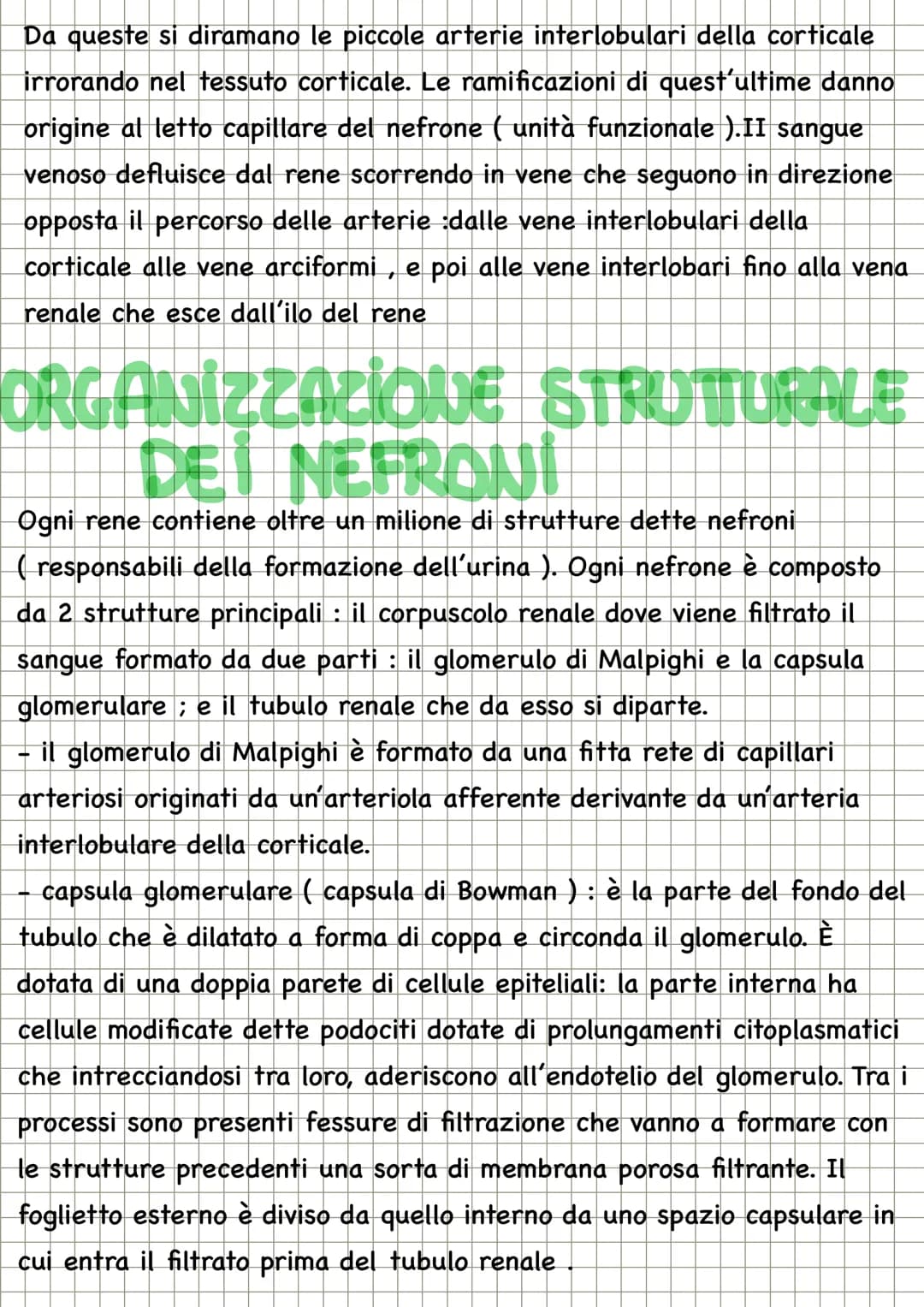 LA TERMOREGOLAZIONE
Il controllo della temperatura corporea rappresenta un sistema di
regolazione che fa capo all'ipotalamo. I cosiddetti an