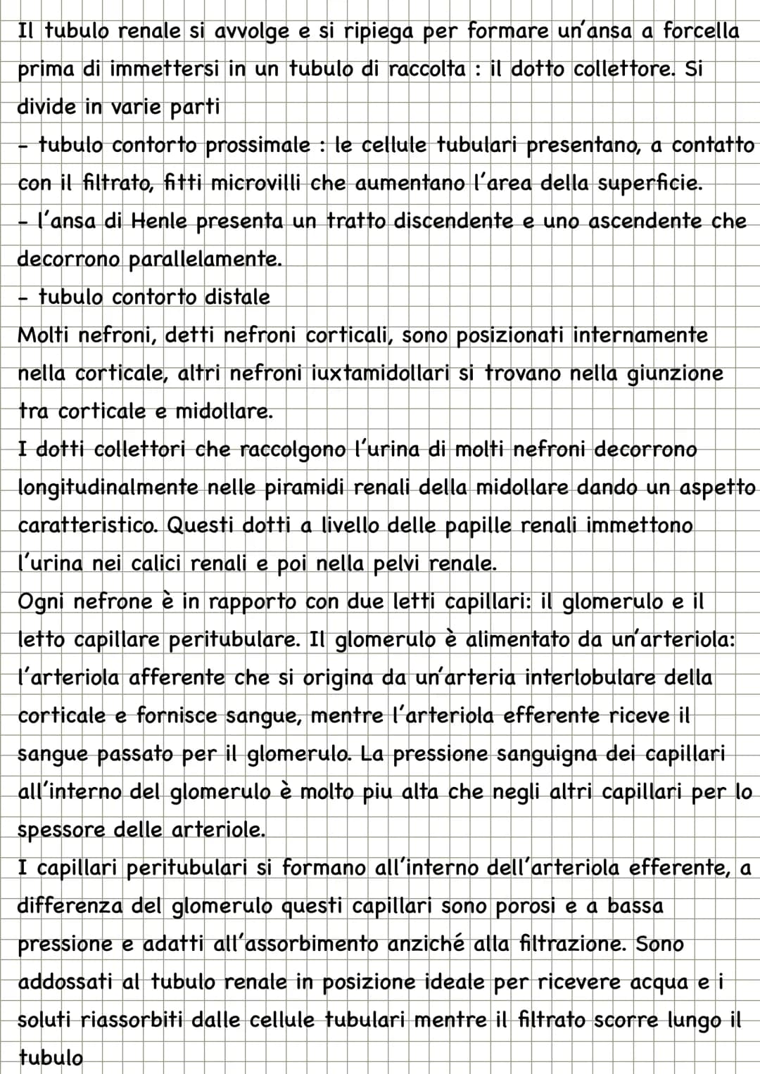 LA TERMOREGOLAZIONE
Il controllo della temperatura corporea rappresenta un sistema di
regolazione che fa capo all'ipotalamo. I cosiddetti an