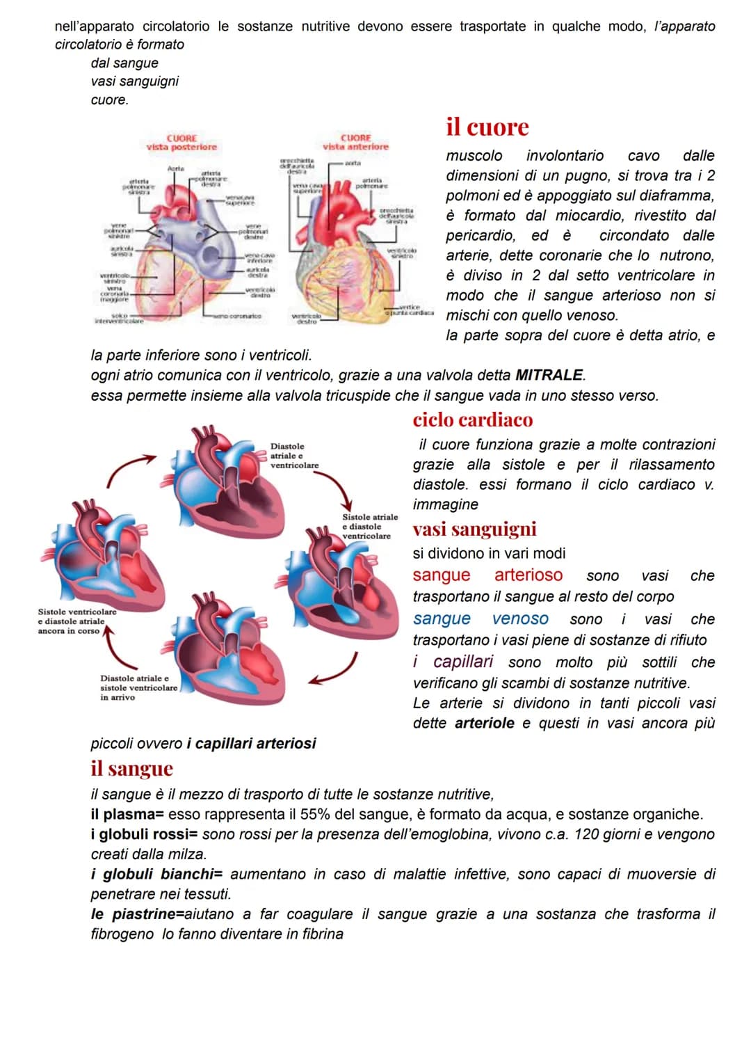 nell'apparato circolatorio le sostanze nutritive devono essere trasportate in qualche modo, l'apparato
circolatorio è formato
dal sangue
vas