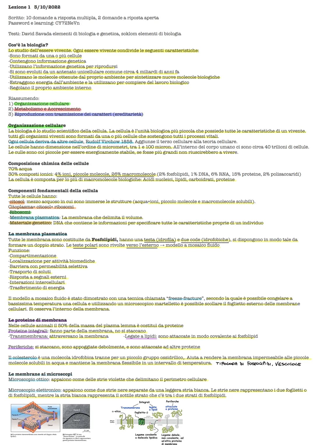 Lezione 1 3/10/2022
Scritto: 10 domande a risposta multipla, 2 domande a riposta aperta
Password e learning: CY72NeVn
Testi: David Savada el
