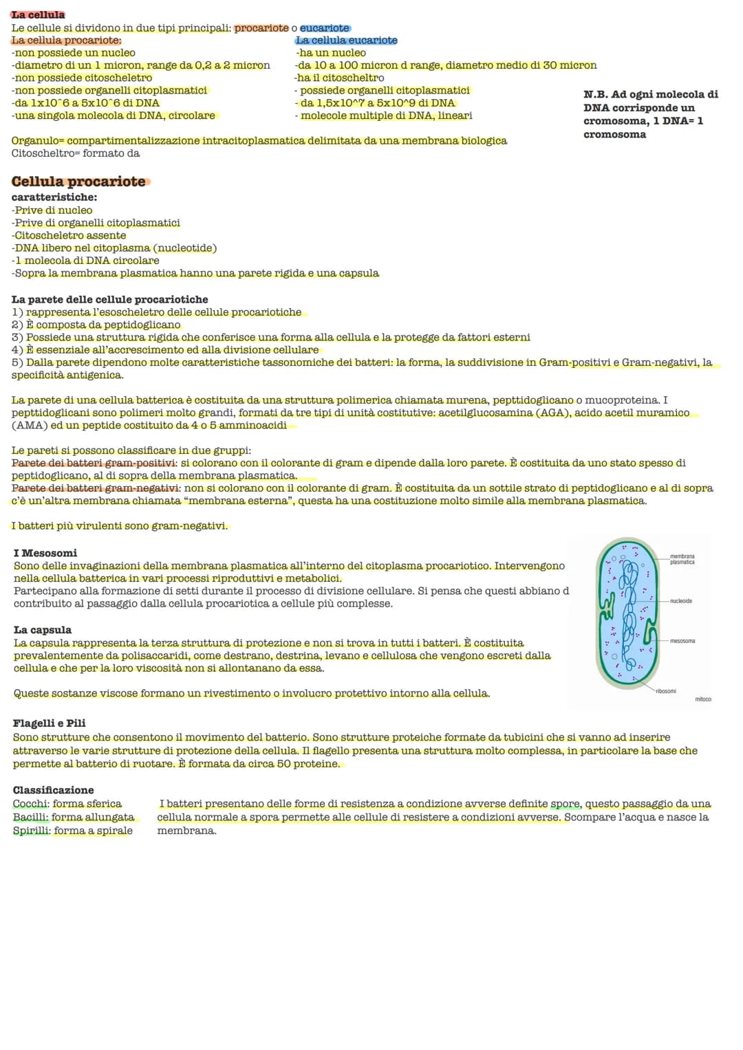 Lezione 1 3/10/2022
Scritto: 10 domande a risposta multipla, 2 domande a riposta aperta
Password e learning: CY72NeVn
Testi: David Savada el