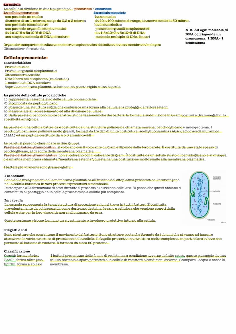 Lezione 1 3/10/2022
Scritto: 10 domande a risposta multipla, 2 domande a riposta aperta
Password e learning: CY72NeVn
Testi: David Savada el