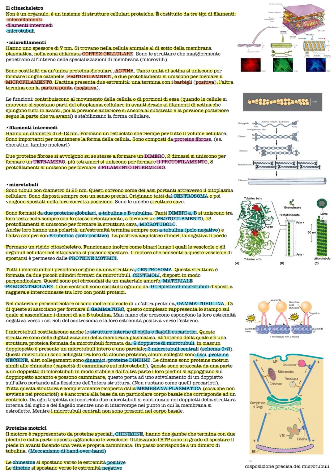 Lezione 1 3/10/2022
Scritto: 10 domande a risposta multipla, 2 domande a riposta aperta
Password e learning: CY72NeVn
Testi: David Savada el