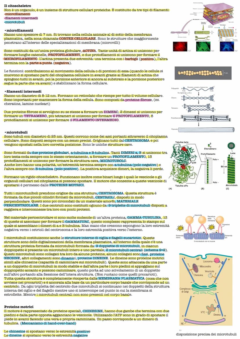 Lezione 1 3/10/2022
Scritto: 10 domande a risposta multipla, 2 domande a riposta aperta
Password e learning: CY72NeVn
Testi: David Savada el