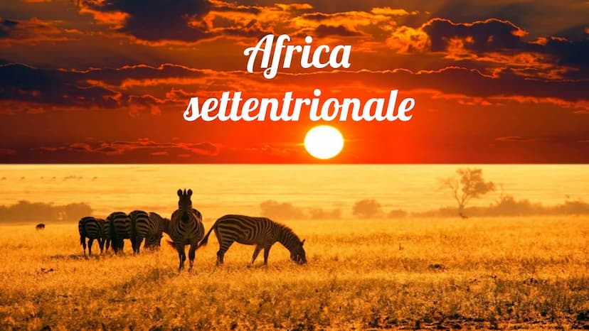 Africa
settentrionale Da cosa è formata
L'Africa
Settentrionale è
formata da:
Egitto, Algeria
Libia, Marocco e
Tunisia
PORTOGALLO
SAHARA
OCC