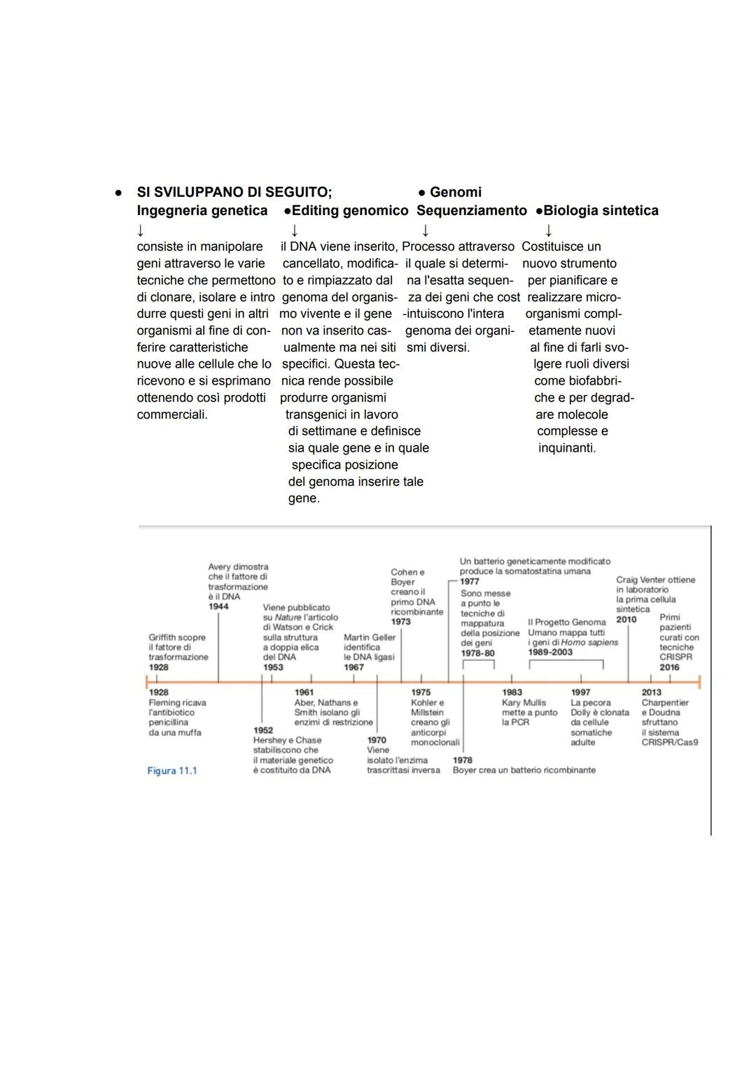 CAPITOLO 11
AGIRE SUL DNA: LE BIOTECNOLOGIE
1. Origine ed evoluzione delle biotecnologie
Il termine biotecnologia fu utilizzato per la prima