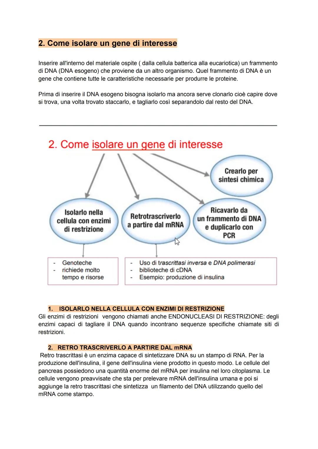 CAPITOLO 11
AGIRE SUL DNA: LE BIOTECNOLOGIE
1. Origine ed evoluzione delle biotecnologie
Il termine biotecnologia fu utilizzato per la prima