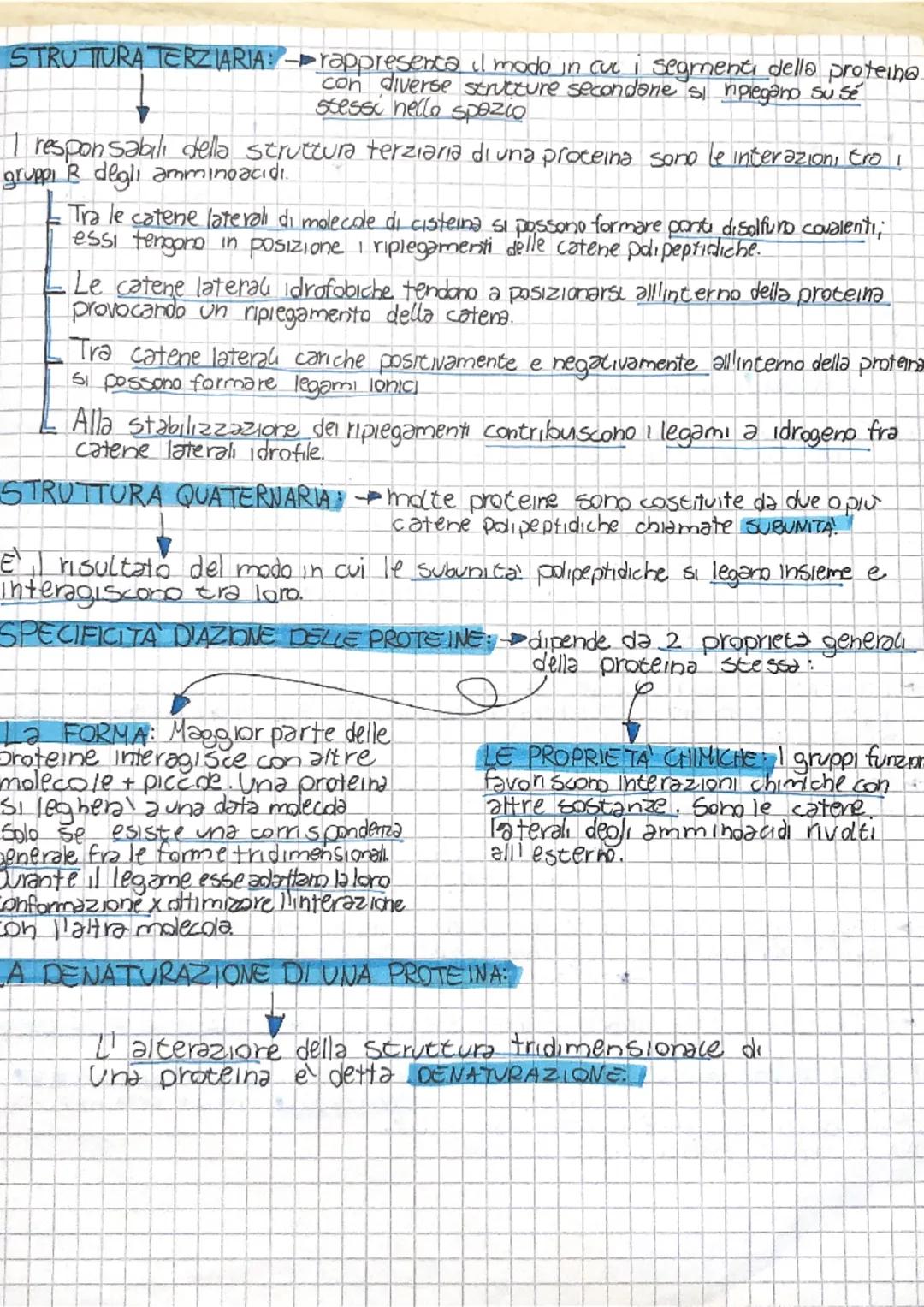 # LE PROTEINE

-Song polimeri formatı da monomeri detti AMMINOACIDI UNITI con legami covalenti
a formare lunghe catene chiamate CATENE POLIP