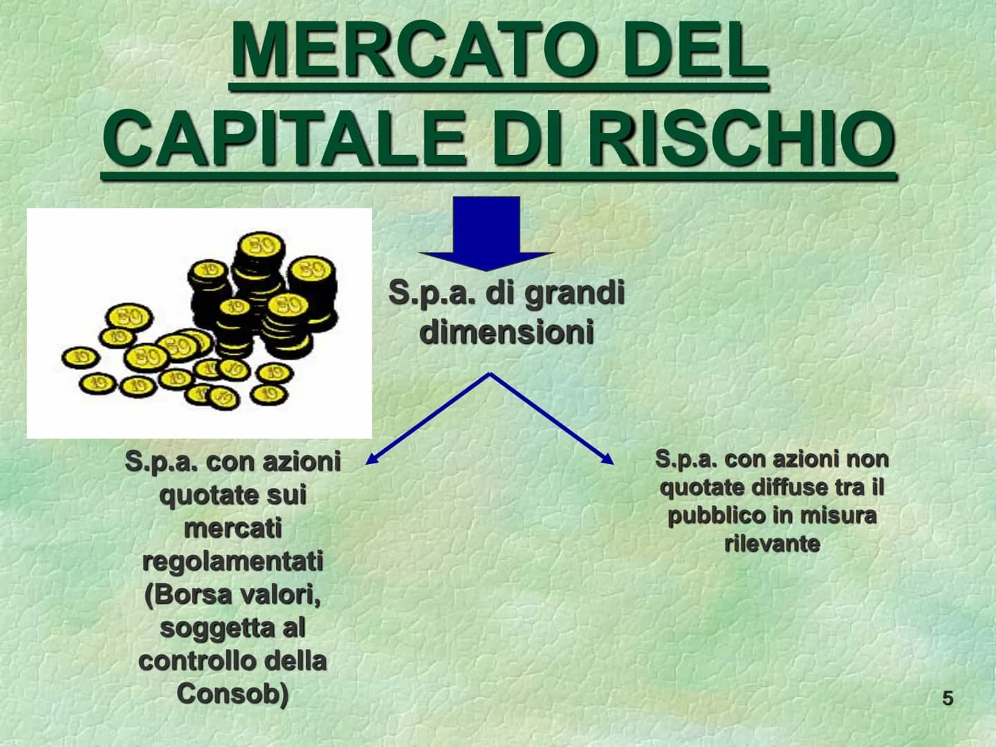 La società per azioni
S La società per azioni è società
di capitali dotata di
autonomia patrimoniale
perfetta, le cui quote di
partecipazion