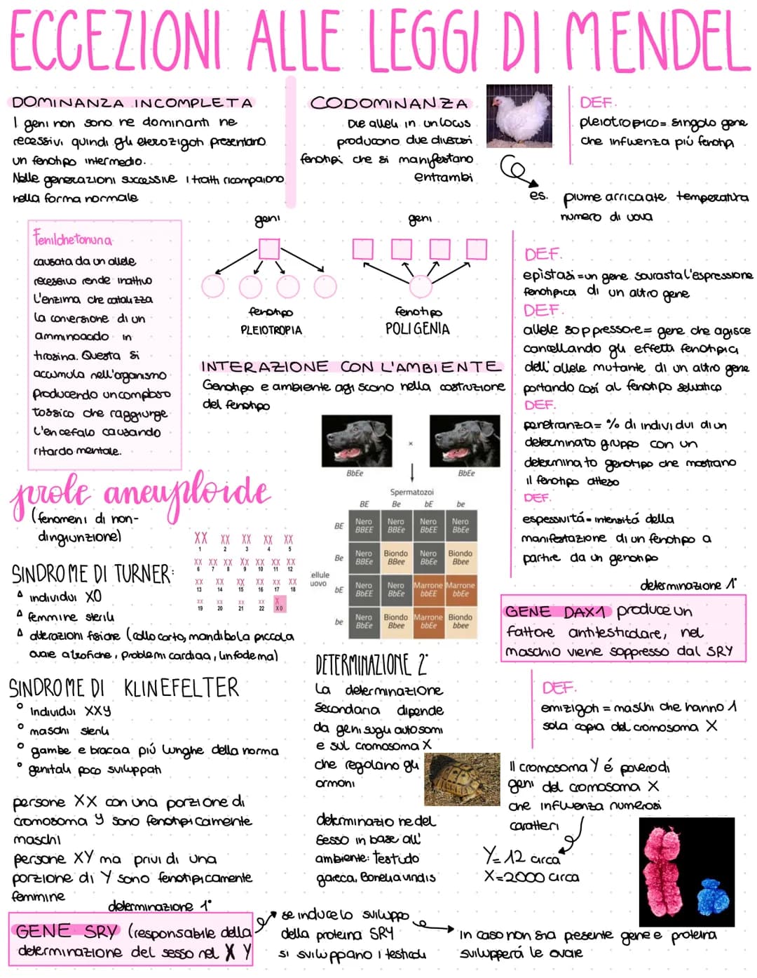 gregor mendel
1822-1884 Monaco agostiniano con formazione scientifica
Sceglie il pisello odoroso:
a. facile da coltivare
b. Impovinazione co