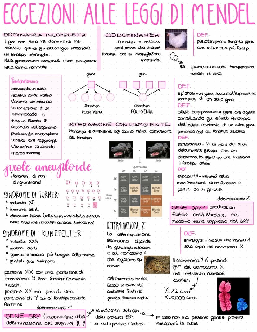gregor mendel
1822-1884 Monaco agostiniano con formazione scientifica
Sceglie il pisello odoroso:
a. facile da coltivare
b. Impovinazione co
