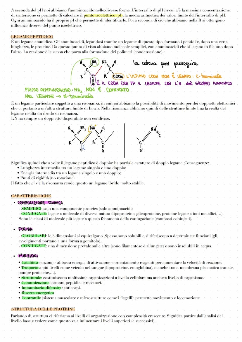 LE BIOMOLECOLE
Le biomolecole vengono sintetizzate, utilizzate e costituiscono i viventi. Carboidrati, proteine e acidi nucleici sono dei
po