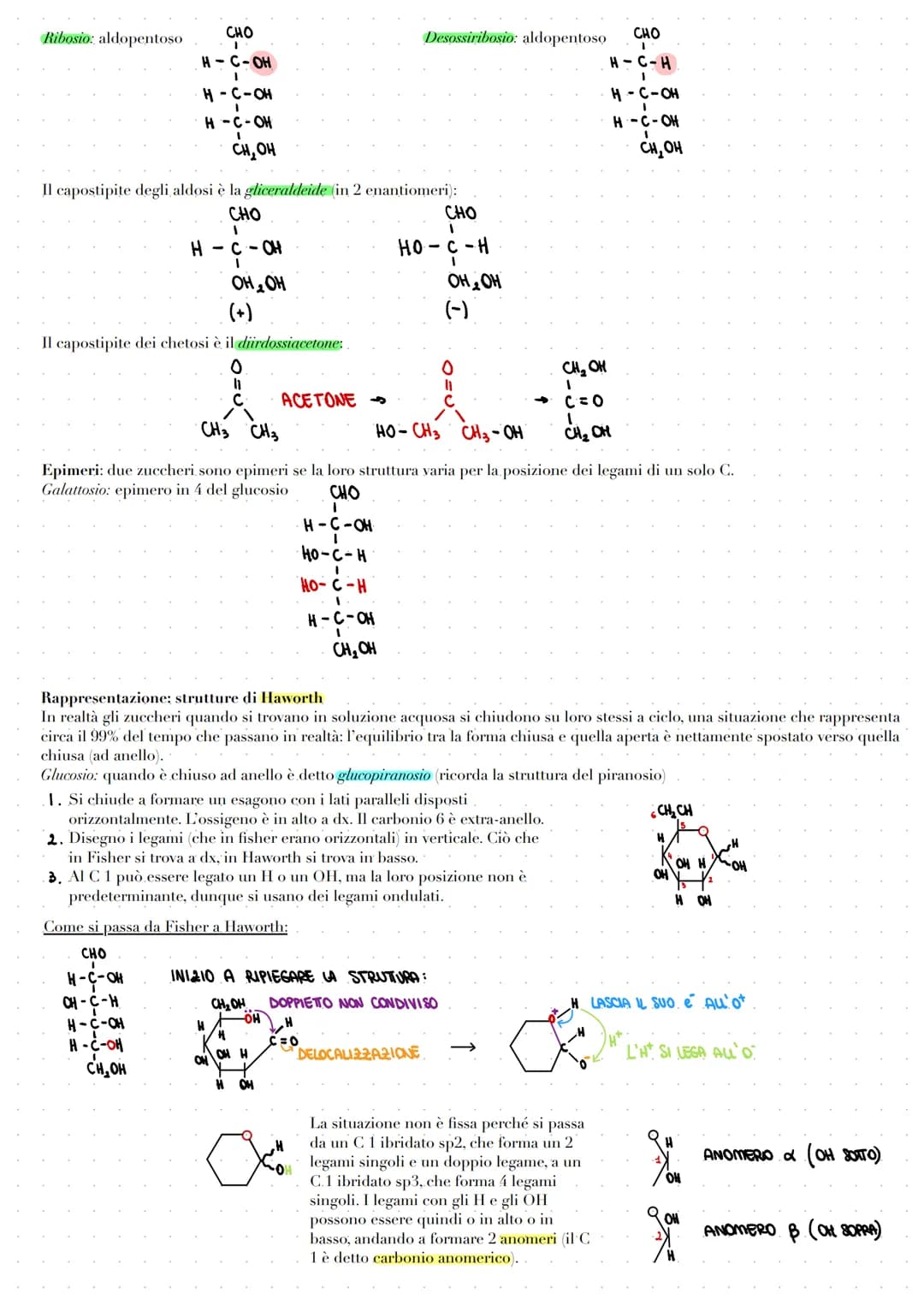 LE BIOMOLECOLE
Le biomolecole vengono sintetizzate, utilizzate e costituiscono i viventi. Carboidrati, proteine e acidi nucleici sono dei
po