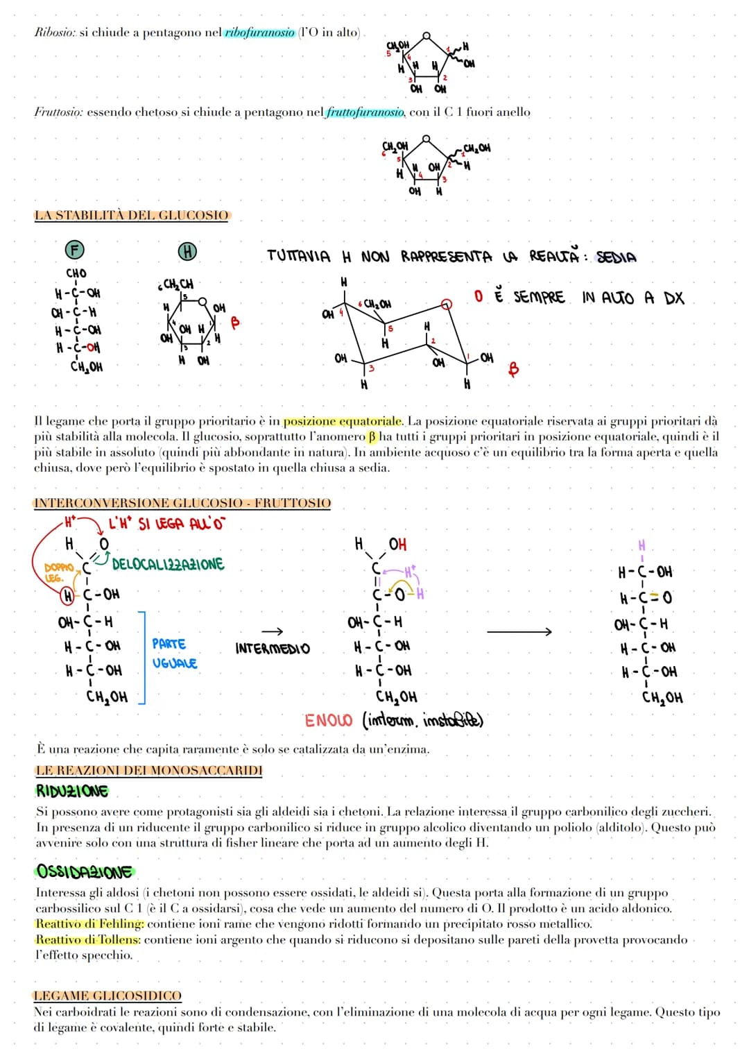 LE BIOMOLECOLE
Le biomolecole vengono sintetizzate, utilizzate e costituiscono i viventi. Carboidrati, proteine e acidi nucleici sono dei
po