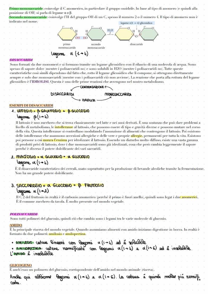 LE BIOMOLECOLE
Le biomolecole vengono sintetizzate, utilizzate e costituiscono i viventi. Carboidrati, proteine e acidi nucleici sono dei
po