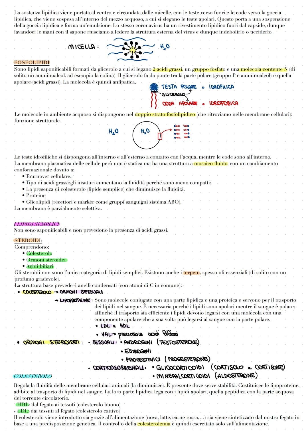 LE BIOMOLECOLE
Le biomolecole vengono sintetizzate, utilizzate e costituiscono i viventi. Carboidrati, proteine e acidi nucleici sono dei
po