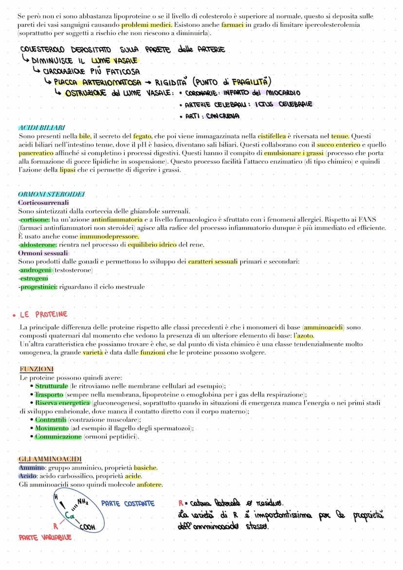 LE BIOMOLECOLE
Le biomolecole vengono sintetizzate, utilizzate e costituiscono i viventi. Carboidrati, proteine e acidi nucleici sono dei
po