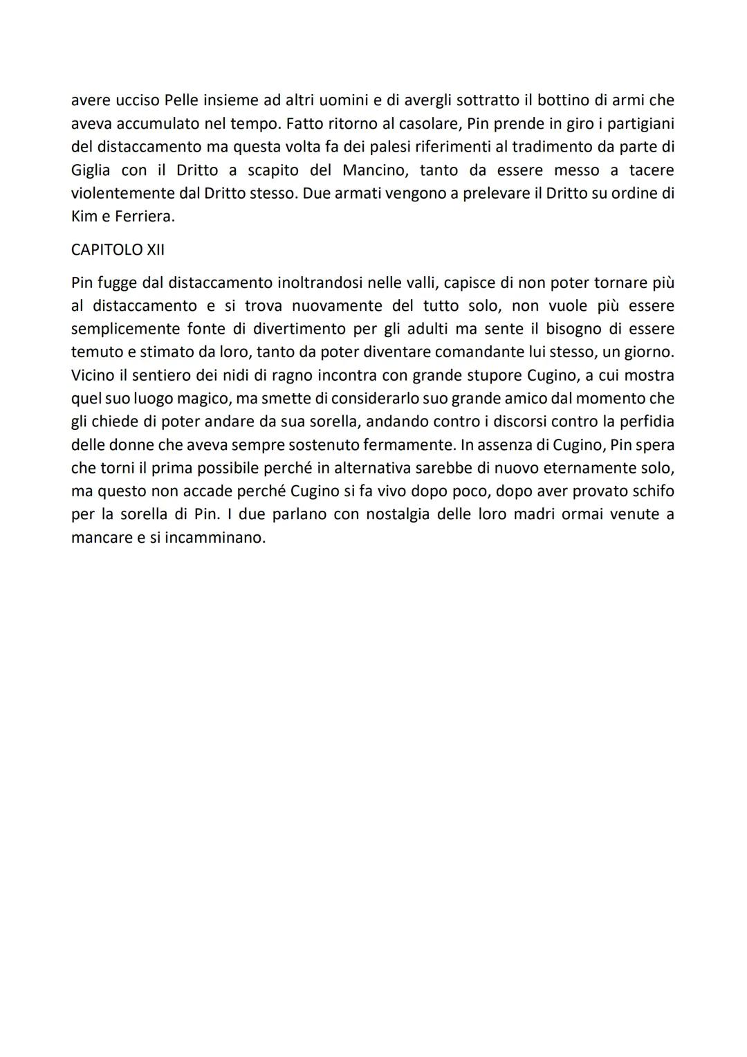 IL SENTIERO DEI NIDI DI RAGNO - RIASSUNTO PER CAPITOLI
CAPITOLO I
Pin è il protagonista, un bambino orfano in quanto la madre è morta e il p