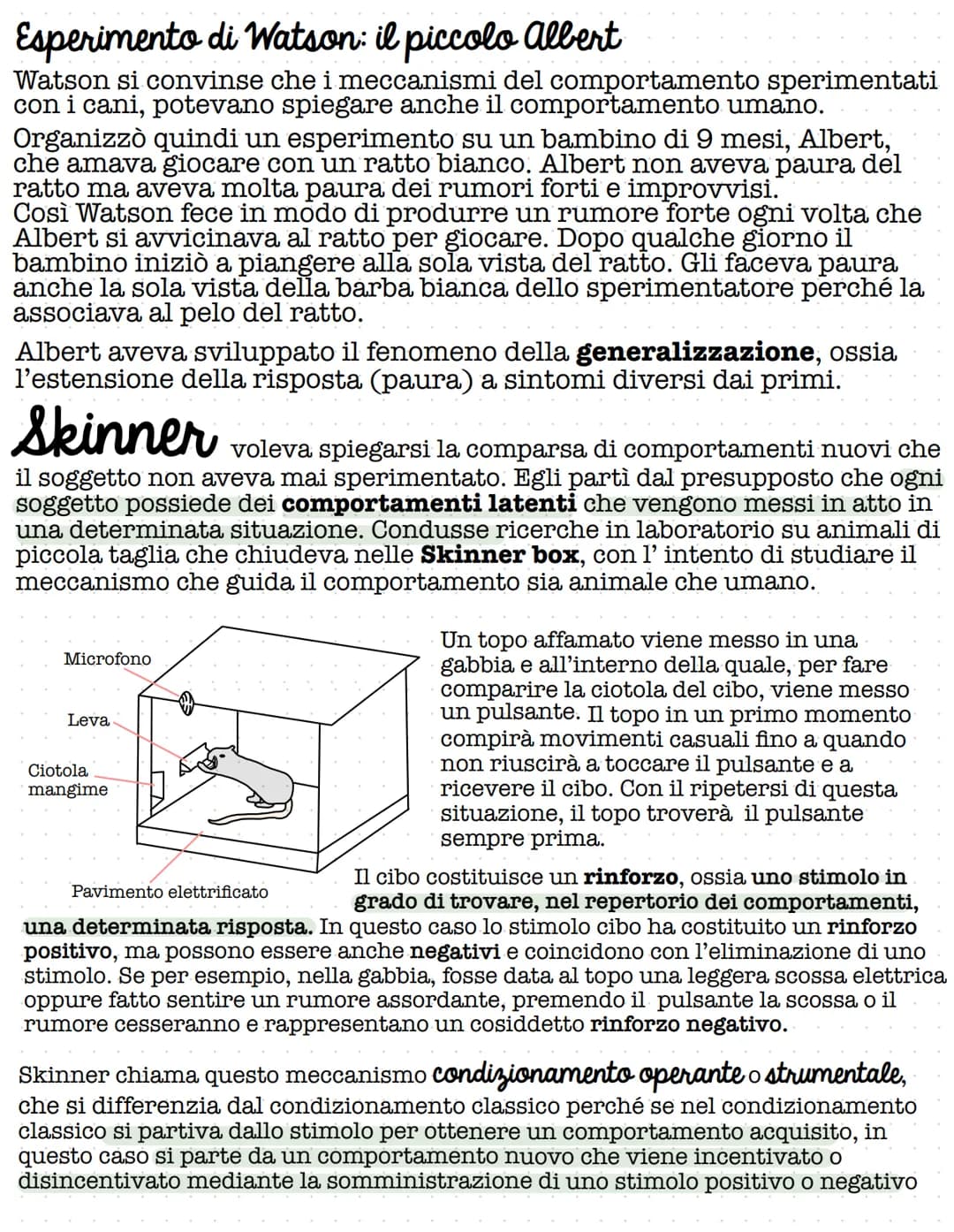 PSICOPEDAGOGIA
STATUNITENSE
Il comportamentismo si contrappone a tutte le impostazioni che
ricorrono all'introspezione e cerca di interpreta