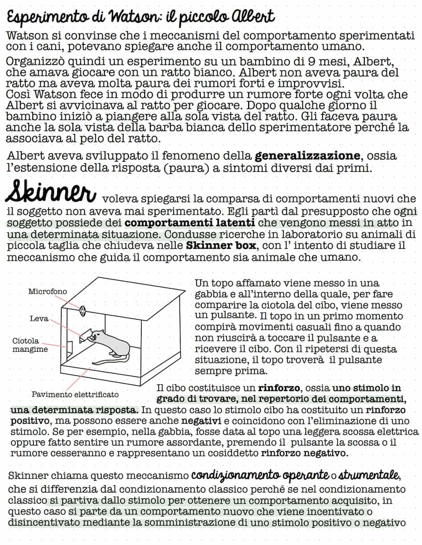 PSICOPEDAGOGIA
STATUNITENSE
Il comportamentismo si contrappone a tutte le impostazioni che
ricorrono all'introspezione e cerca di interpreta